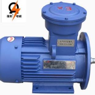 浙江强立隔爆电动机隔爆电机马达YBX3YB2系列37kw 4直发