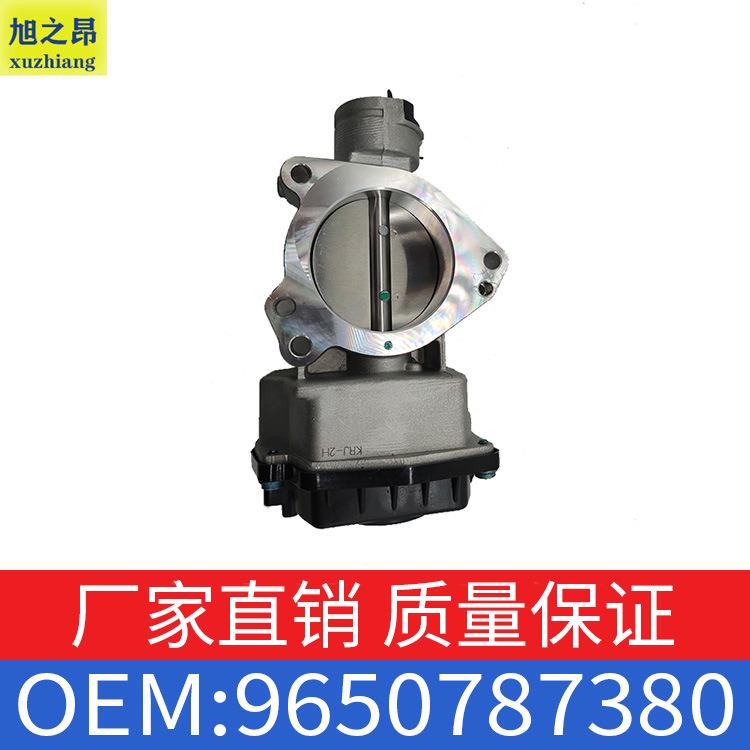 适用标致雪铁龙C4/C5/307/407电子节气门总成OE9650787380/1635X0