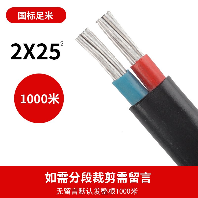 国标2芯铝芯家用户外电缆线电线4 6 10 16 25平方双芯铝线护套线