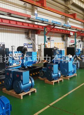 潍柴原装WPG22/B13柴油发电机组冷藏车配备16KW国三发电机