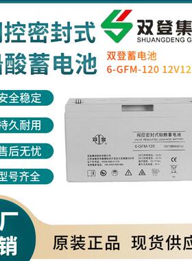双登蓄电池6-GFM-12012V120AH开关控制参数规格参数供应