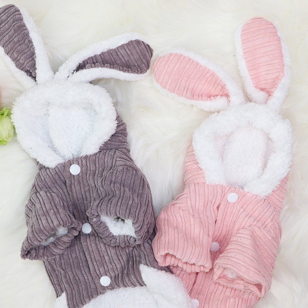 宠物狗狗加绒兔子变身装泰迪比熊博美小型犬保暖两脚衣