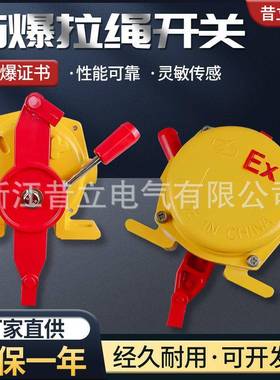 防爆拉绳开关BKLT2EXKLT2BXYLS-II粉尘防爆急停开关XLLSBX5800