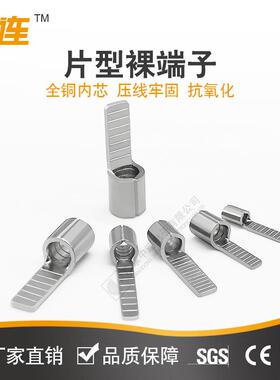 DBN1.25/2/5.5/8/14-10/14/16片型裸接线端子插片冷压紫铜线鼻子
