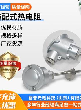 JUMO久茂原装一体化温度探头PT100铠装铂热电阻902810/13系列