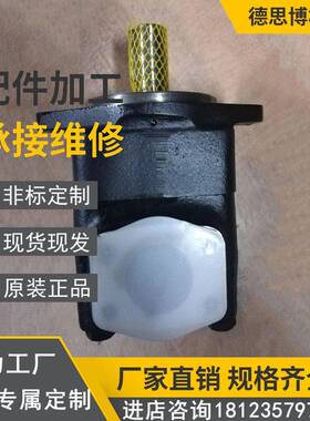 注塑机叶片泵PVV2-1X/040RB15DMBK57高压泵维修配件