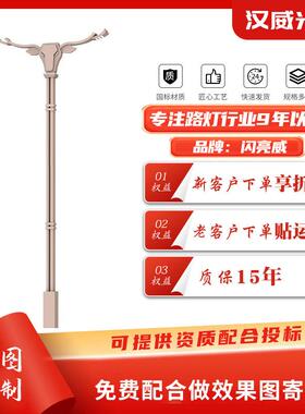 现代简约款LED市电路灯单双臂道路照明灯6米7米8米市政路灯