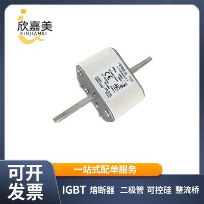 170M6611 170M6616 快速熔断器 保险丝 电子元器件 量大价优