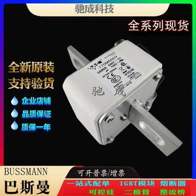 巴斯曼170M6660 170M6661 170M6662 原装进口价优 低压保险丝