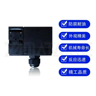 原装安全电磁锁门锁 AZM 170-02ZI-B5 24VAC/DC 替代产品YAM170