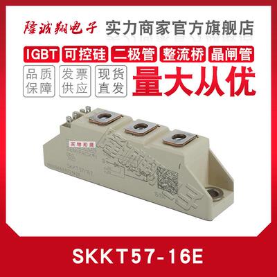 SKKT56 57 57B 58B 71 72/08E 12E 14E 16E 18E 20E 22EH4可控硅