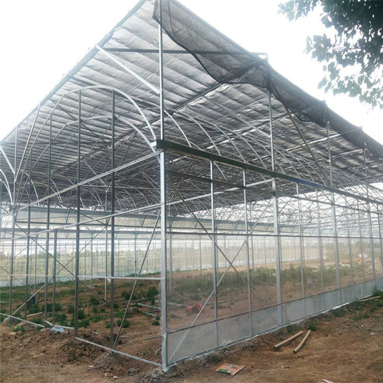 薄膜温室圆拱形大棚一体化工程设计葡萄种植采摘园林大棚厂家