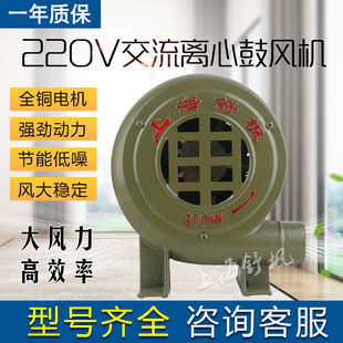厂家直供 铜芯线电机大风量220V低噪声 铸铁离心式 交流鼓风机250W