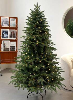 新款大型仿真加密圣诞树发光客厅室内摆件圣诞节裸树