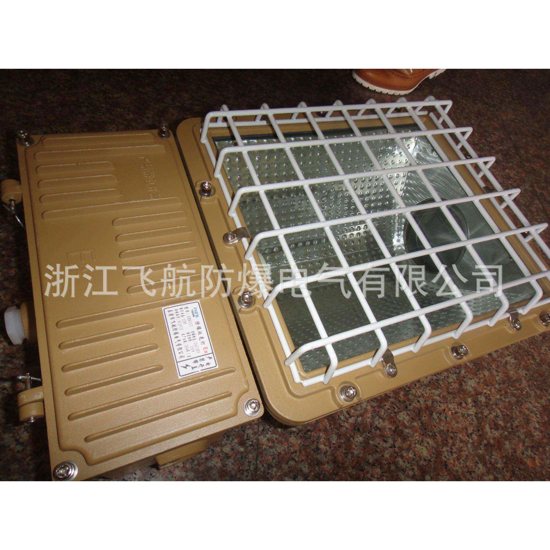 防爆节能无极灯，LED免维护防爆灯
