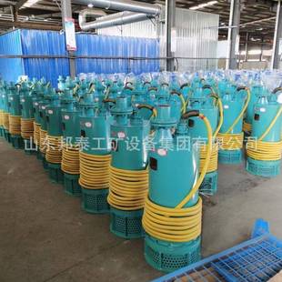 N矿用隔爆型潜水排沙电泵 660v防爆排污泵 厂家直供BQS200