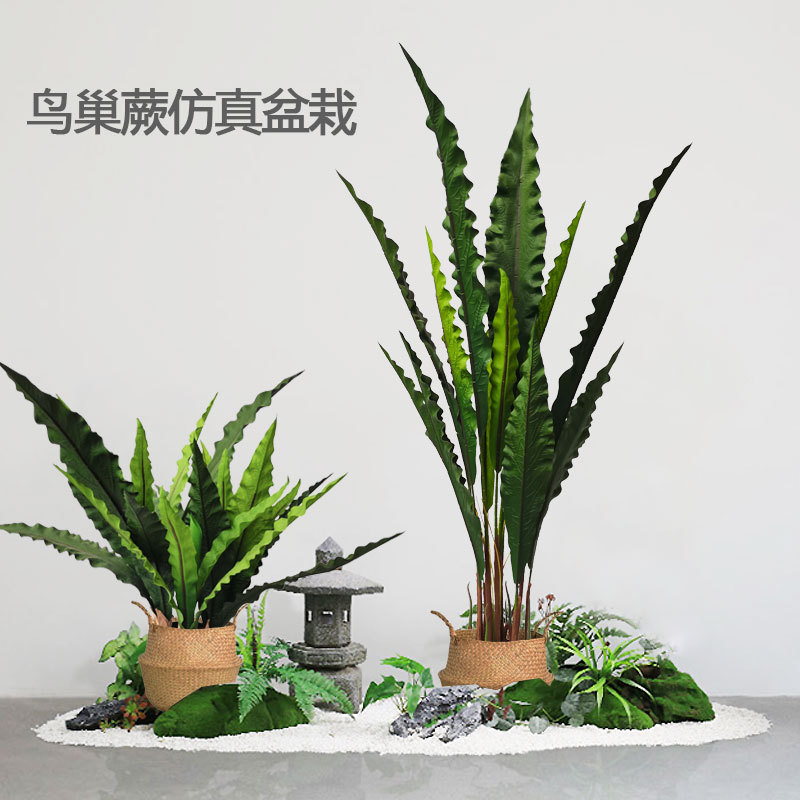 厂家批发仿真植物盆栽热带沙漠巢蕨仿真绿植酒店居家装修装饰造景