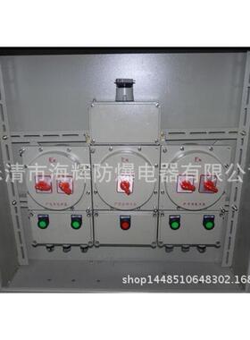 BX(M)D51-T系列防爆动力（照明）配电箱