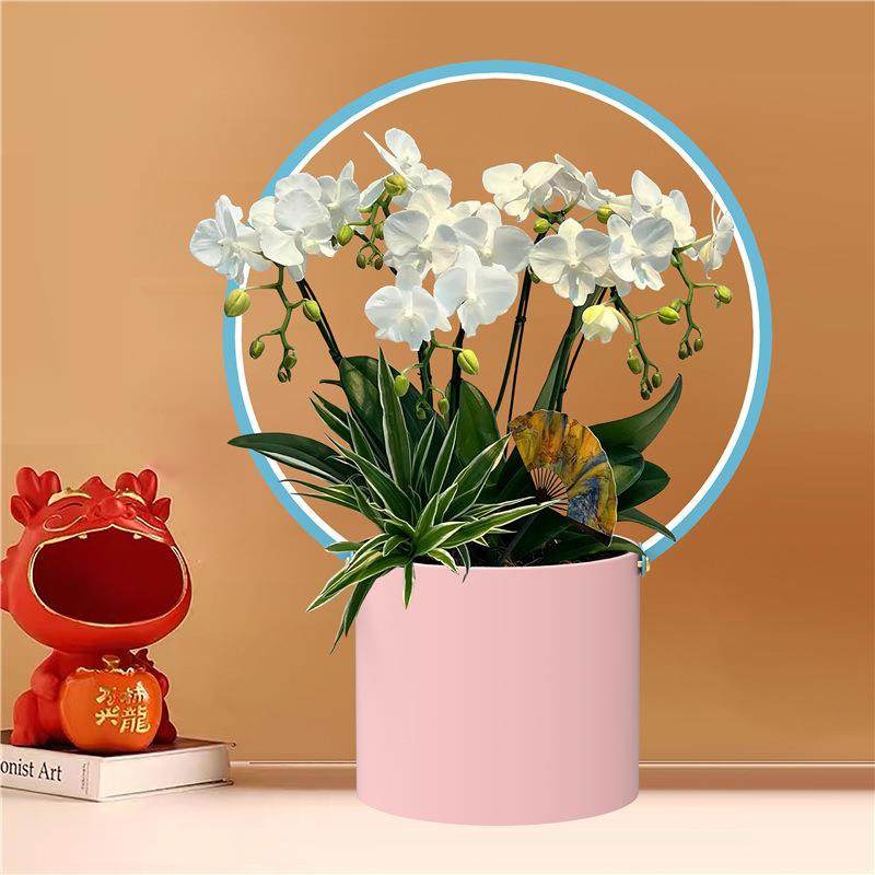 灯圈23桶冬青银柳金属福盆抱抱桶元宝盆聚宝盆铁艺福桶创意插花桶,节庆用品/礼品,新娘配件,淘宝优惠券,粉丝福利购,淘宝优惠卷