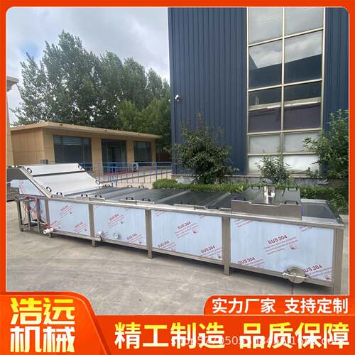 红枣清洗机油麦菜气泡清洗设备食堂净菜加工流水线果蔬清洗机