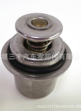 6CT8.3发动机恒温器节温器394063239685594930594