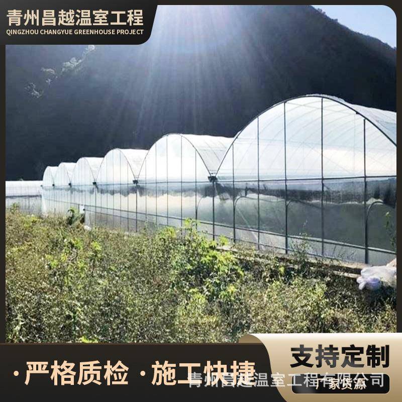 一体化工程连体薄膜温室智能双拱双模圆拱形拱棚菊花育苗大棚