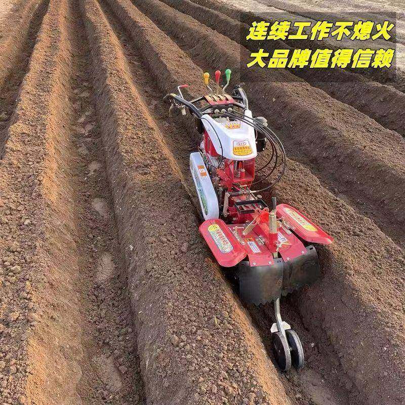 大葱开沟培土机新款柴油草莓开沟机小型培土机深沟果园培土起垄厂,节庆用品/礼品,新娘配件,淘宝优惠券,粉丝福利购,淘宝优惠卷