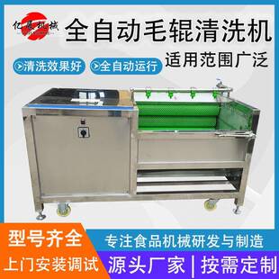 干辣椒毛辊清洗机小型甘蔗土豆红薯毛刷去皮机洗菜机全自动清洗