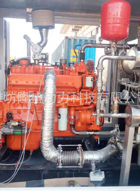 200KW康明斯CHP集装箱式发电机组 猪场用沼气发电机组 厂家供应