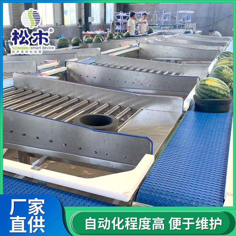西瓜哈密瓜重量分选机瓜果分级秤西瓜分选流水线配套瓜托智能
