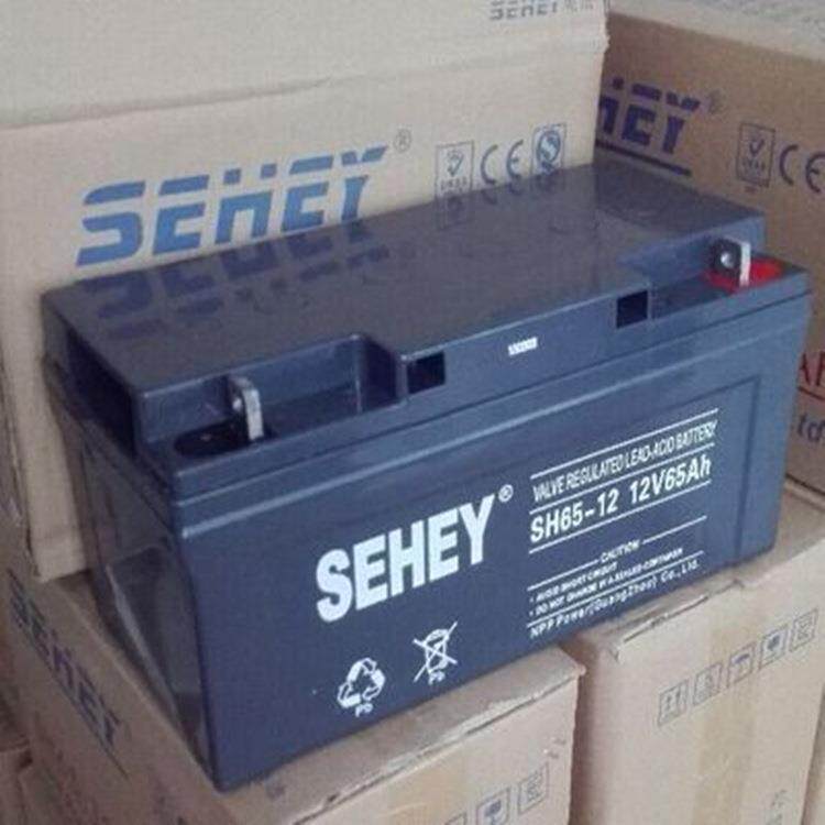 SEHEY西力蓄电池SH65-1265AH200A150A120A100A38A24A17A