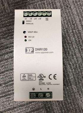 DNR120AS24-IXPPOWER24V直流5A120W导轨电源