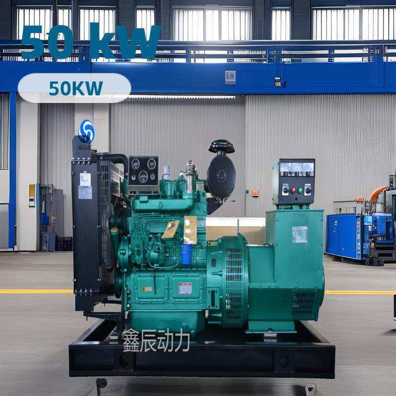50kw柴油发电机组潍坊动力50千瓦柴油发电机组工地备用发电机组