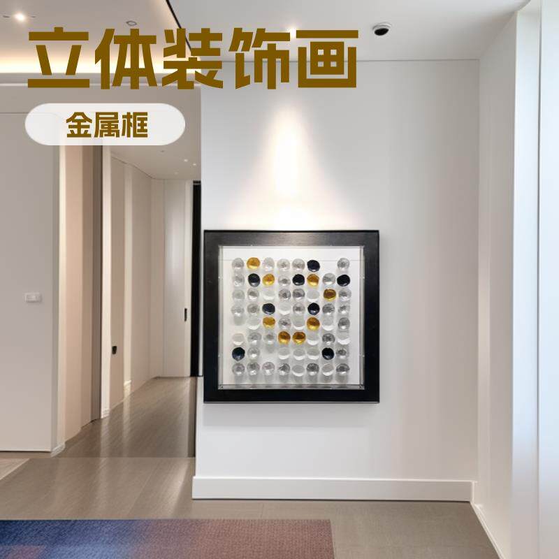 现代小立体手工玄关装饰画实物装置简约客厅挂画亚克力罩样板房