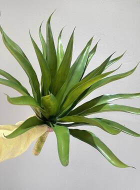 仿真龙舌兰剑兰绿色虎皮兰植物摆件装饰配材室内假绿植软装造景