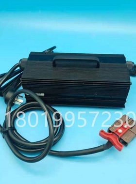 杭州杭叉电动叉车搬运车充电机充电器48V10A  AIMB200-741000-A00