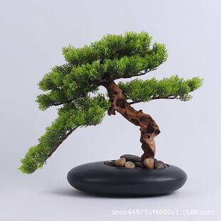 样板房桌面松树小摆件酒店家居办公桌绿植工艺品电视柜酒柜装饰品