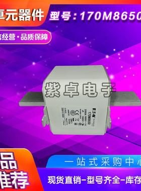 170M8647170M8648170M8649170M8650伊顿巴斯曼熔断器保险丝