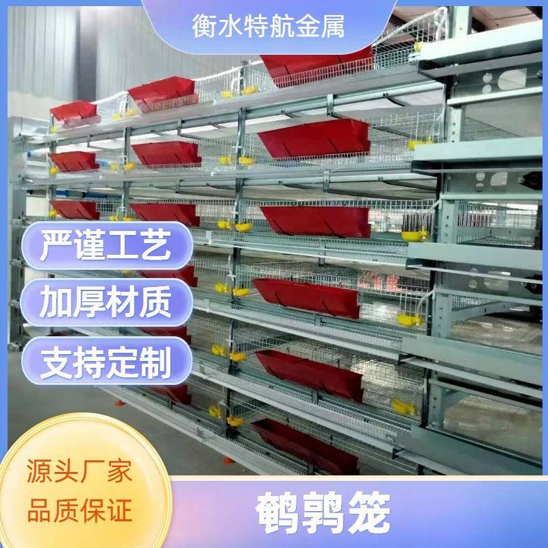 生产全自动鹌鹑笼立式层叠鸡笼子养鸡设备养鹌鹑设备自动集蛋