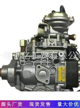 燃油喷射泵VE油泵096000-8480VE6/10F2000RND848适用于丰田1HZ