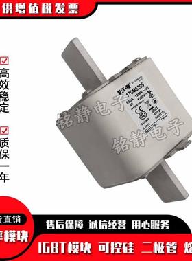 170M6263 170M6264 170M6265 170M6266巴斯曼熔断器现货170M6267