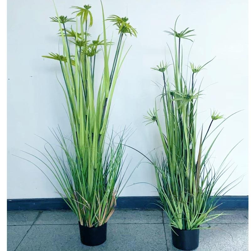 工厂仿真洋葱草盆栽绿色太阳草景观花艺软装家居民宿装饰摆件