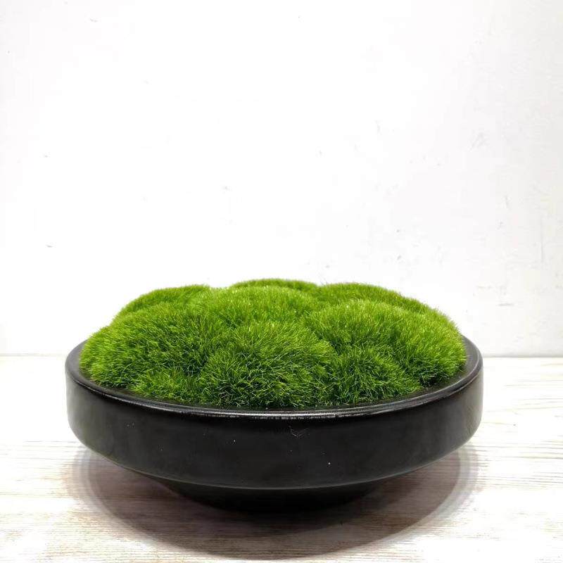 日式简约插花盆果盘铜钱草水浅餐桌苔藓盆剑山禅意插花器摆件软装