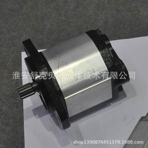 BHP2.6A2S30S3U1-R系列齿轮泵
