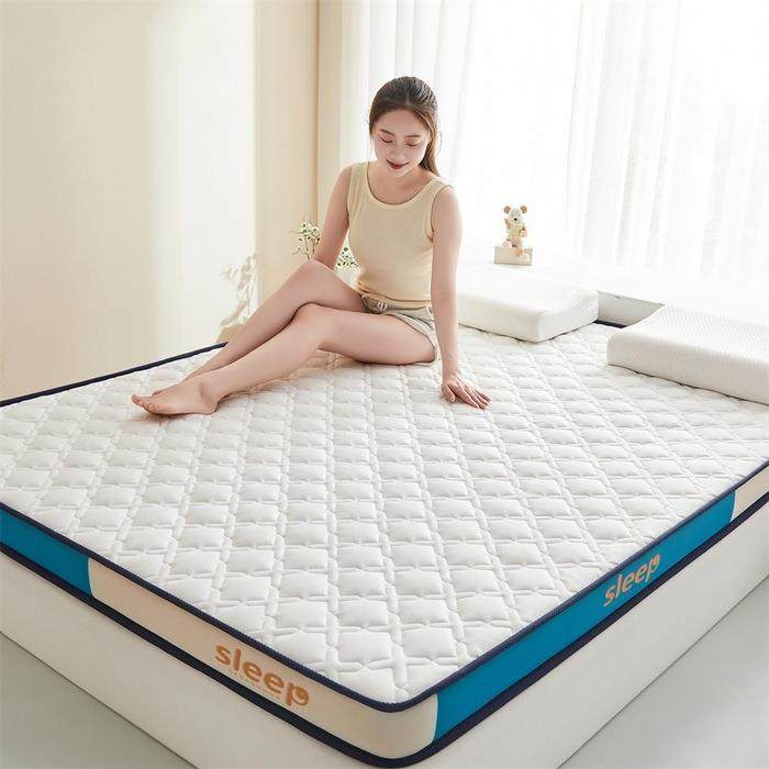 2024新款思帝普乳胶记忆海绵舒适床垫家用开学季学生宿舍床垫,纺织面料/辅料/配套,纺织机械配件,淘宝优惠券,粉丝福利购,淘宝优惠卷