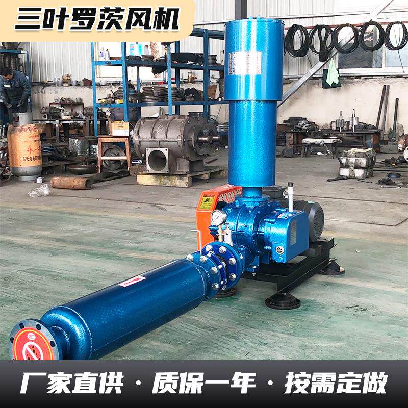 鱼塘曝气增氧机水产养殖气力输送鼓风机 污水处理三叶罗茨风机