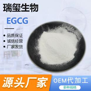 EGCG98%绿茶提取物egcg表没食子儿茶素没食子酸酯现货供应