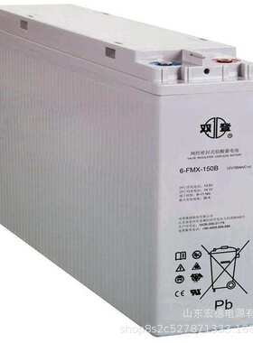 双登蓄电池 6-FMX-100B 狭长型12V100AH 通信电源48V电池组