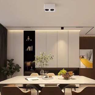 明装射灯 防眩家用客厅餐厅二头四头格栅灯射灯 cob方形斗胆灯