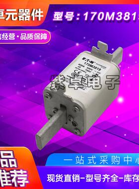 170M3970170M3971170M3972170M3973170M3974170M3975熔断器